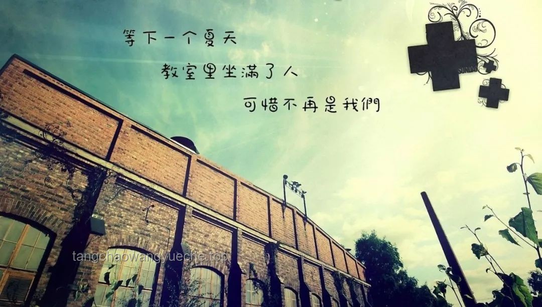 盘点九首毕业季宝藏歌曲，共赴夏日离别之歌